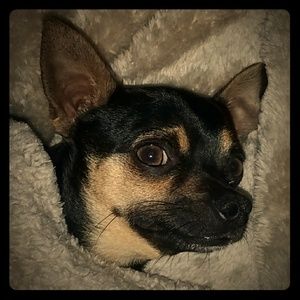 Meet your Posher, Sara